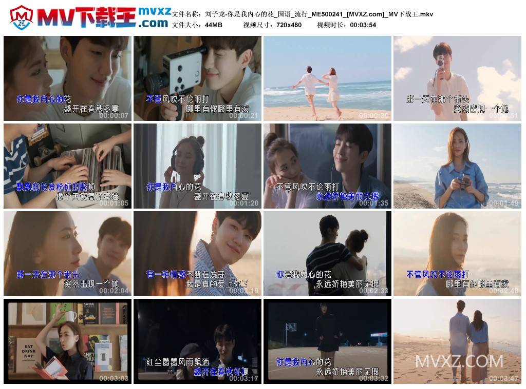 刘子龙-你是我内心的花_国语_流行_ME500241